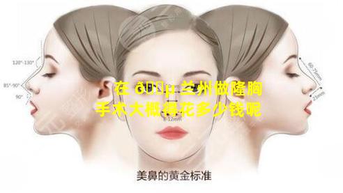在 🐵 兰州做隆胸手术大概得花多少钱呢